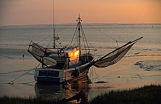 渔船,河,波亚克