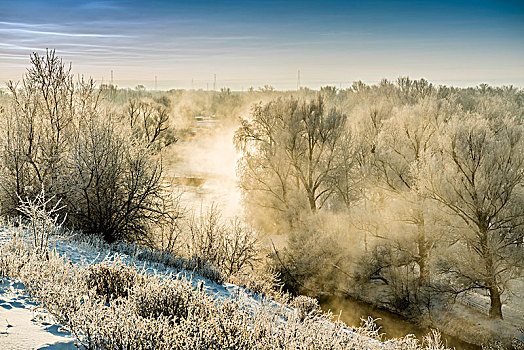 新疆,布尔津,冬日,雪景,清晨,雾松