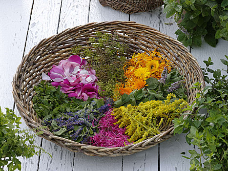 柳条篮,花,茶,药草,叶子
