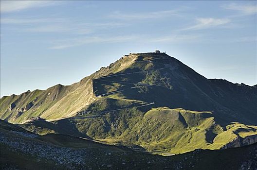 火绒草,街道,顶峰,高,高山,道路,国家公园,陶安,卡林西亚,奥地利