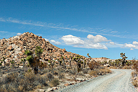 道路,红岩峡谷,州立公园,加利福尼亚,美国