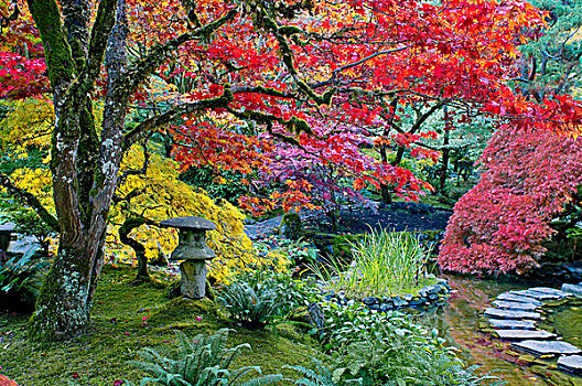 日本,石灯笼,秋色,日式庭园,宝翠花园,温哥华岛,不列颠哥伦比亚省,加拿大