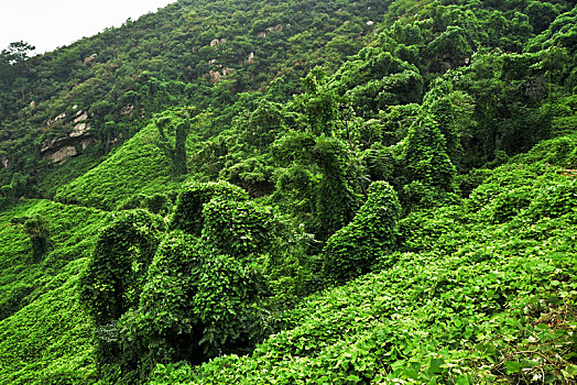 河北省石家庄平山县藤龙山风景区