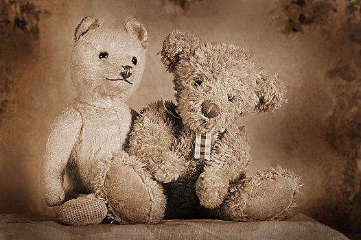两个,泰迪熊,坐,靠近,相互,奥地利,欧洲