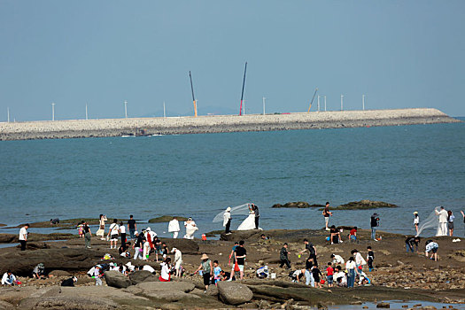 太壮观,万人赶海大军浩浩荡荡登陆太公岛,尽情享受快乐时光