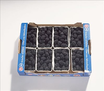 黑莓,板条箱