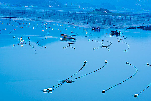 福建霞浦,渔船,养殖