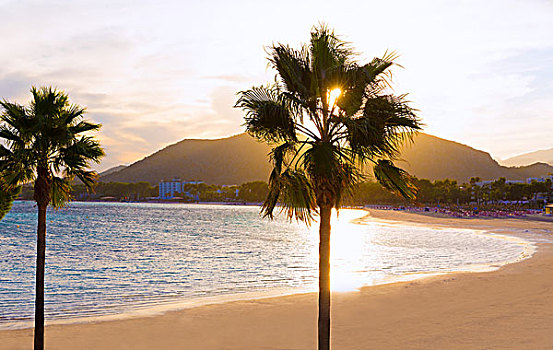 马略卡岛,日落,海滩,巴利阿里群岛