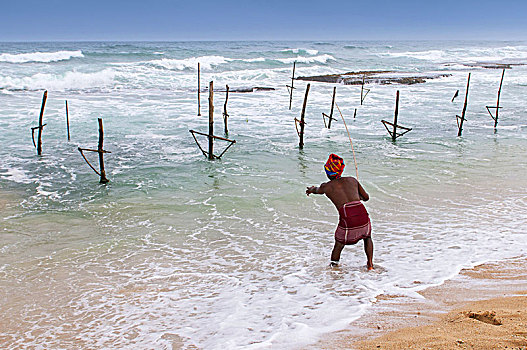 高跷,钓鱼,浅水,向上,普通,斯里兰卡,渔民