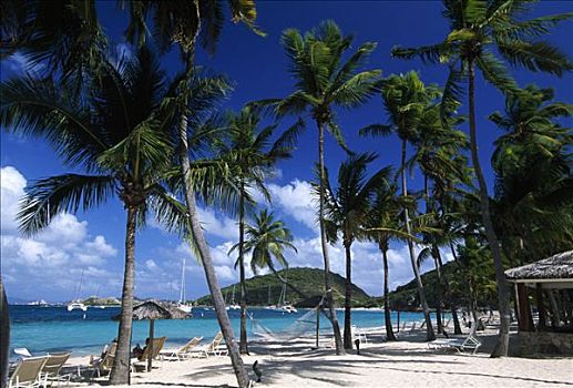 海滩,岛屿,胜地,英属维京群岛,加勒比海