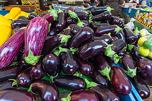 蛋,植物,茄属植物,市场,荷兰