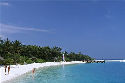 质朴,海滩,岛屿,北方,环礁,马尔代夫,印度洋