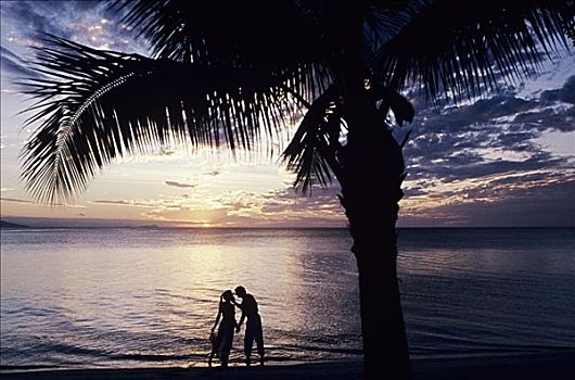斐济,瓦卡亚岛,日落,伴侣,剪影,海滩,棕榈树,前景