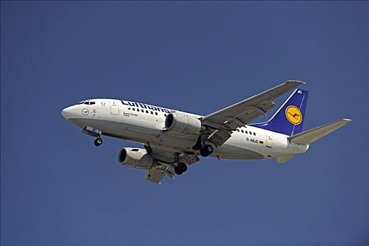 波音737,航空公司,汉莎航空公司