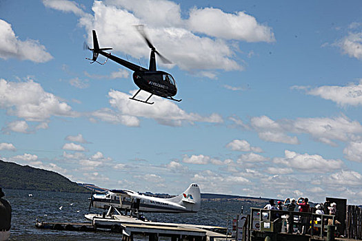 罗托鲁瓦湖中的黑天鹅和乘坐直升飞机观看火山口的游客