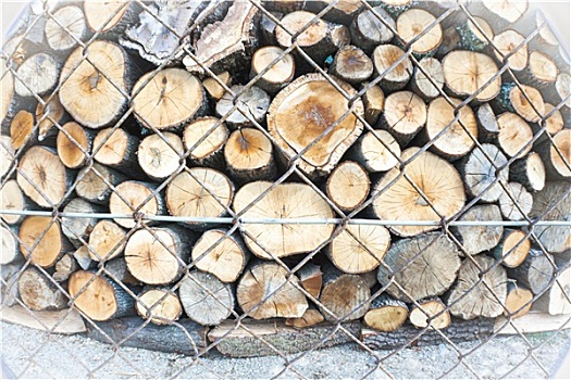 木头,树干,后面,栅栏