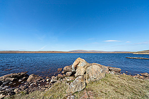 石头,海岸线,设得兰群岛,苏格兰