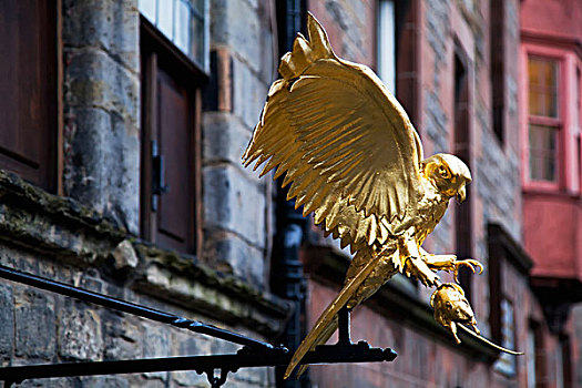 英国,苏格兰,雕塑,猎捕,金色,老鹰,爱丁堡