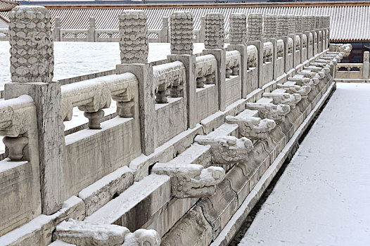 雪后故宫太和殿汉白玉台基和望柱和螭首