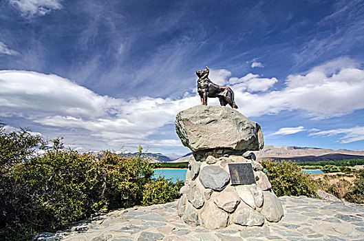 著名,狗,雕塑,牧羊犬,纪念建筑,农民,泰卡泊湖,南岛,新西兰