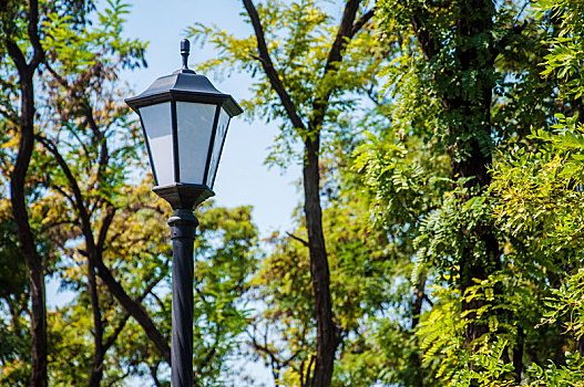掩映在绿树中的一盏欧式路灯