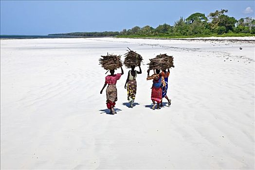 肯尼亚,蒙巴萨,女人,头部,干燥,椰树,叶状体,海滩