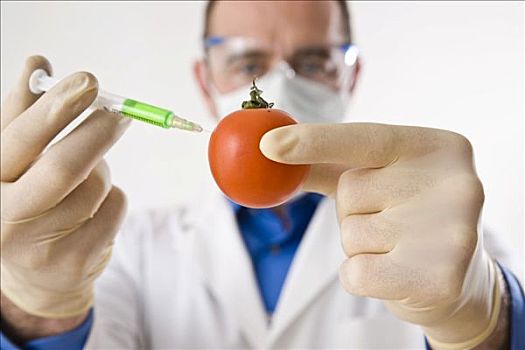 男人,实验室,注射,液体,西红柿