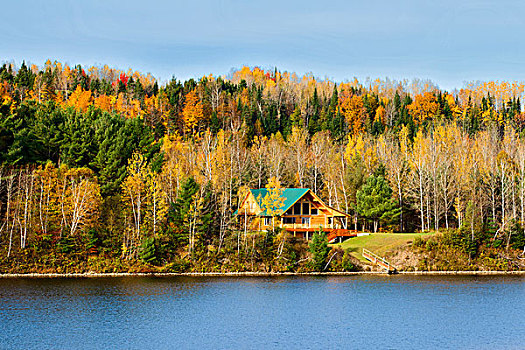 原木,房子,新布兰斯维克,加拿大
