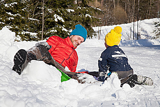 男人,儿子,笑,落下,雪橇,雪中,遮盖,风景