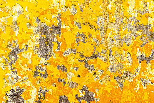 石膏,黄色,墙壁,丰沙尔,马德拉岛,葡萄牙,欧洲