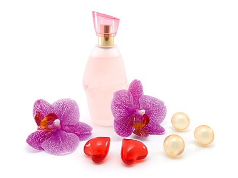瓶子,香水,兰花,隔绝,白色背景,背景