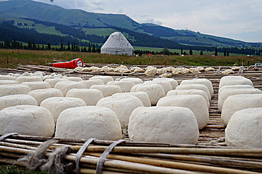 新疆那拉提草原牧民生活状态和食物