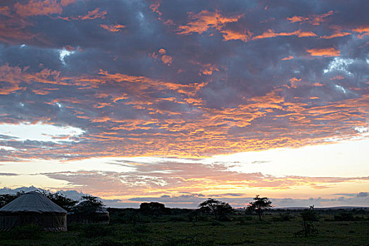 夜空,帐蓬,塞伦盖蒂,坦桑尼亚,非洲