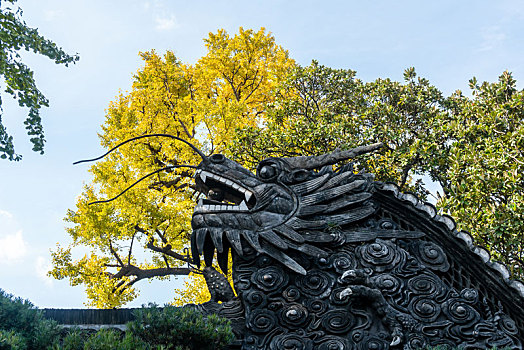 豫园龙形雕饰与银杏