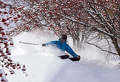 越野滑雪,雪,地形