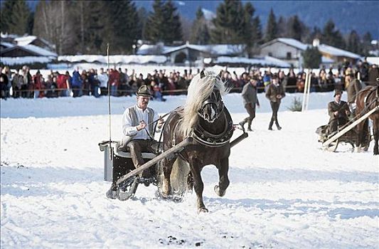 马,雪橇,赛马,冬天,雪,欧洲