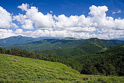 高原,长野,日本,亚洲