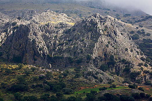 石头,山丘,格拉萨莱玛,自然公园,公园,省,安达卢西亚,西班牙,欧洲