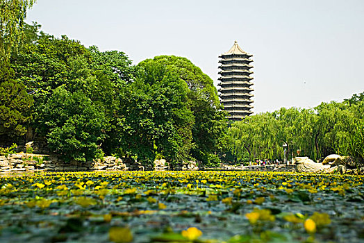 北京大学的一塔湖图