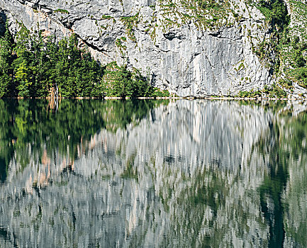 岩石,反射,奧伯湖地区,国家公园,上巴伐利亚,巴伐利亚,德国,欧洲