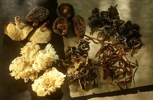 干燥,中国,蘑菇