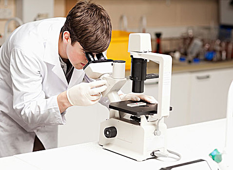 科学,学生,张望,显微镜