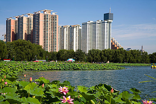 北京,莲花池公园