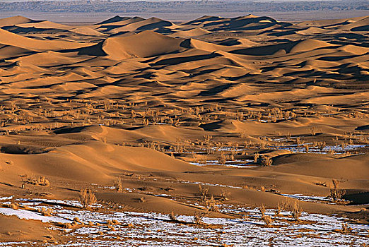 沙丘,冬天,南,戈壁沙漠,蒙古