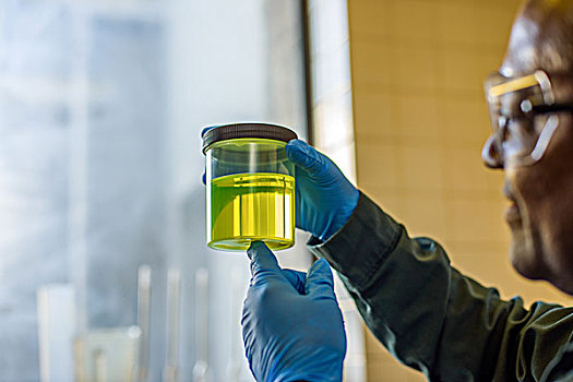 实验室人员,检查,烧杯,黄色,生物燃料,植物,实验室