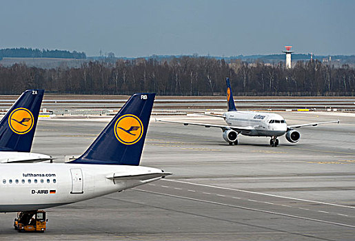 汉莎航空公司,飞机,站立,后面,他们,空中客车,路德维希港,莱茵,出租车,慕尼黑机场,巴伐利亚,德国,欧洲