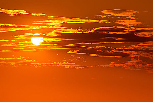 日落,橙色天空,背景,晚间,云