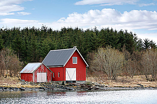传统,挪威,红色,木质,谷仓,海岸