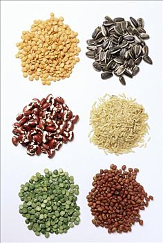 种类,干燥,谷物,豆类
