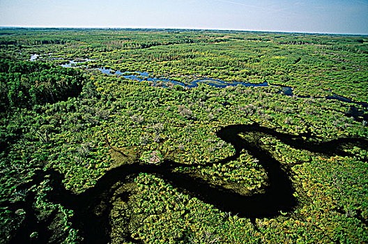 俯视,湿地,曼尼托巴,加拿大